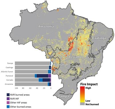 Determinants of Fire Impact in the Brazilian Biomes
